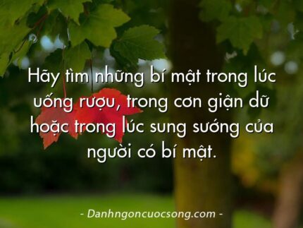 Hãy tìm những bí mật trong lúc uống rượu, trong cơn giận dữ hoặc trong lúc sung sướng của người có bí mật.