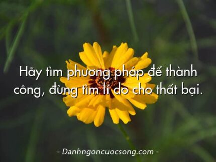 Hãy tìm phương pháp để thành công, đừng tìm lí do cho thất bại.