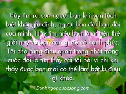 Hãy tìm ra con người bạn khi bạn tách biệt khỏi gia đình, người bạn đời bạn đời của mình. Hãy tìm hiểu bạn là ai trên thế giới này và bạn cần gì để có hạnh phúc. Tôi cho rằng điều quan trọng nhất trong cuộc đời là tìm thấy cái tôi bởi vì chỉ khi thấy được bạn mới có thể làm bất kì điều gì khác.