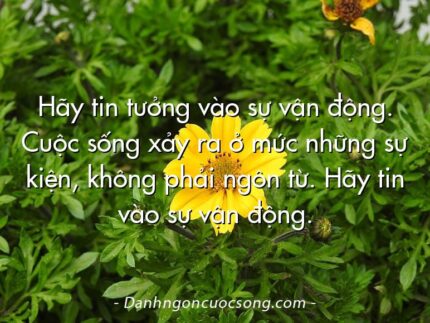 Hãy tin tưởng vào sự vận động. Cuộc sống xảy ra ở mức những sự kiện, không phải ngôn từ. Hãy tin vào sự vận động.