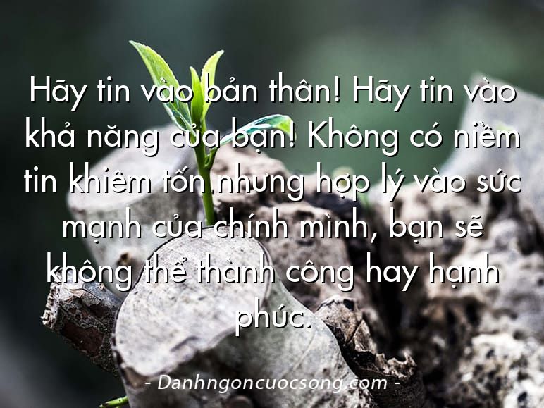 Hãy tin vào bản thân! Hãy tin vào khả năng của bạn! Không có niềm tin khiêm tốn nhưng hợp lý vào sức mạnh của chính mình, bạn sẽ không thể thành công hay hạnh phúc.