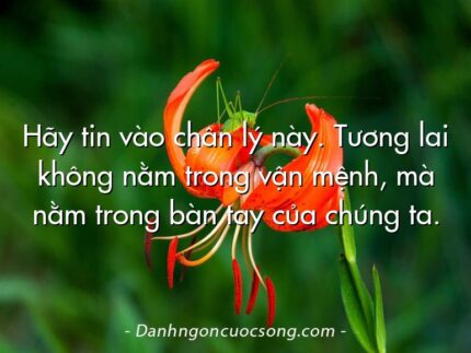 Hãy tin vào chân lý này. Tương lai không nằm trong vận mệnh, mà nằm trong bàn tay của chúng ta.
