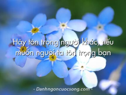 Hãy tôn trọng người khác, nếu muốn người ta tôn trọng bạn