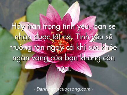 Hãy trân trọng tình yêu, bạn sẽ nhận được tất cả. Tình yêu sẽ trường tồn ngay cả khi sức khỏe ngàn vàng của bạn không còn nữa.