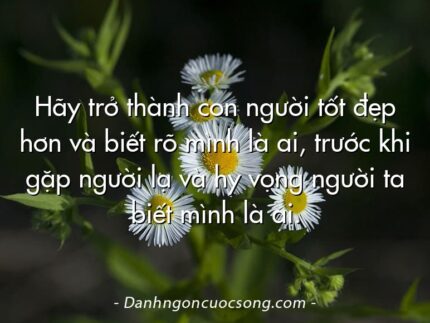 Hãy trở thành con người tốt đẹp hơn và biết rõ mình là ai, trước khi gặp người lạ và hy vọng người ta biết mình là ai.