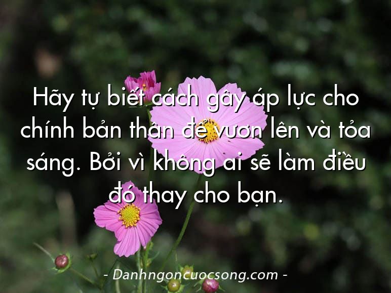 Hãy tự biết cách gây áp lực cho chính bản thân để vươn lên và tỏa sáng. Bởi vì không ai sẽ làm điều đó thay cho bạn.