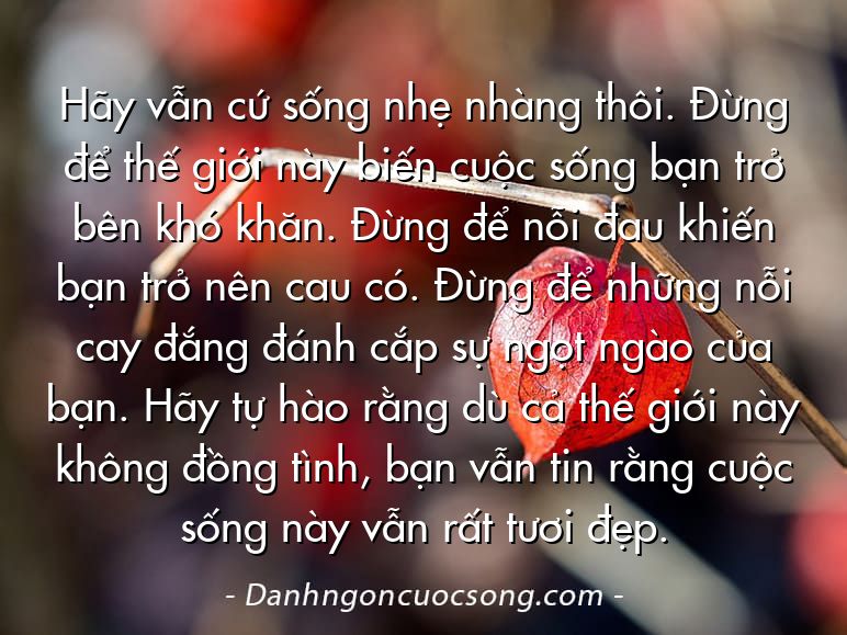 Hãy vẫn cứ sống nhẹ nhàng thôi. Đừng để thế giới này biến cuộc sống bạn trở bên khó khăn. Đừng để nỗi đau khiến bạn trở nên cau có. Đừng để những nỗi cay đắng đánh cắp sự ngọt ngào của bạn. Hãy tự hào rằng dù cả thế giới này không đồng tình, bạn vẫn tin rằng cuộc sống này vẫn rất tươi đẹp.