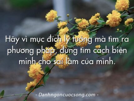 Hãy vì mục đích lý tưởng mà tìm ra phương pháp, đừng tìm cách biện minh cho sai lầm của mình.