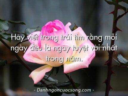 Hãy viết trong trái tim rằng mỗi ngày đều là ngày tuyệt vời nhất trong năm.