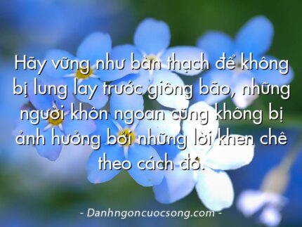 Hãy vững như bàn thạch để không bị lung lay trước giông bão, những người khôn ngoan cũng không bị ảnh hưởng bởi những lời khen chê theo cách đó.