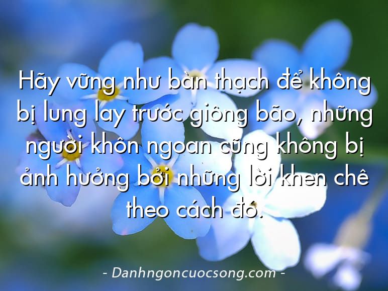 Hãy vững như bàn thạch để không bị lung lay trước giông bão, những người khôn ngoan cũng không bị ảnh hưởng bởi những lời khen chê theo cách đó.