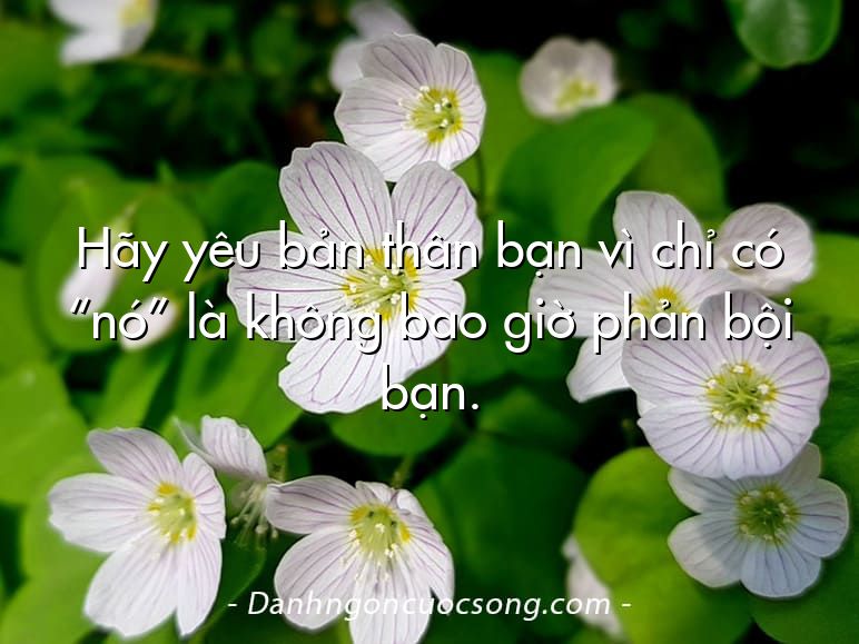 Hãy yêu bản thân bạn vì chỉ có “nó” là không bao giờ phản bội bạn.