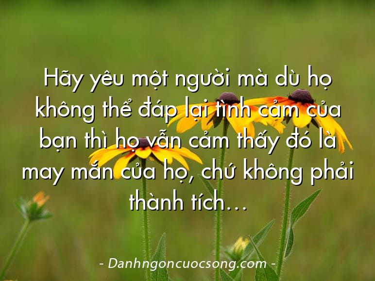 Hãy yêu một người mà dù họ không thể đáp lại tình cảm của bạn thì họ vẫn cảm thấy đó là may mắn của họ, chứ không phải thành tích…