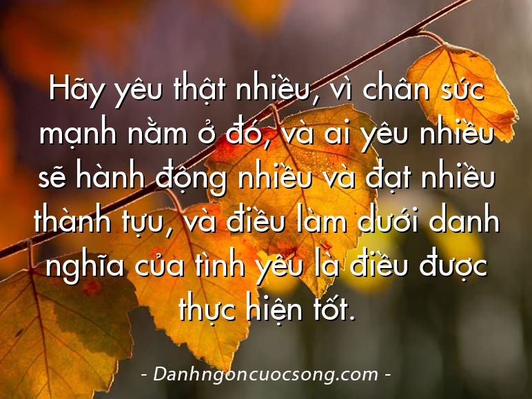 Hãy yêu thật nhiều, vì chân sức mạnh nằm ở đó, và ai yêu nhiều sẽ hành động nhiều và đạt nhiều thành tựu, và điều làm dưới danh nghĩa của tình yêu là điều được thực hiện tốt.