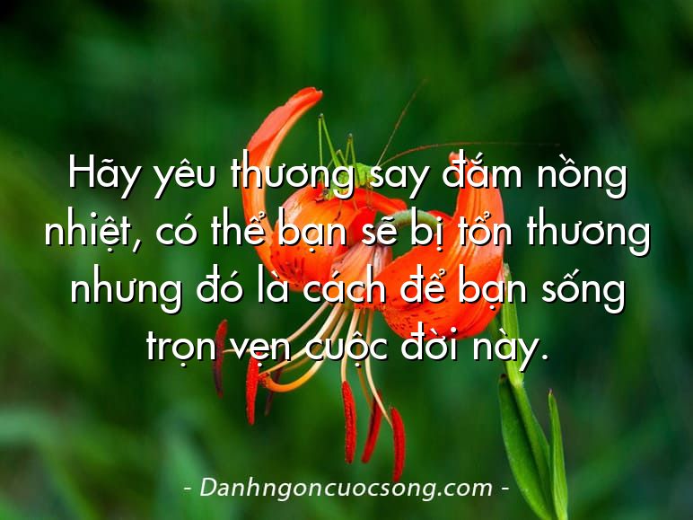 Hãy yêu thương say đắm nồng nhiệt, có thể bạn sẽ bị tổn thương nhưng đó là cách để bạn sống trọn vẹn cuộc đời này.