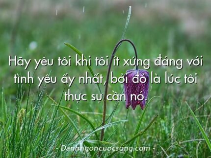 Hãy yêu tôi khi tôi ít xứng đáng với tình yêu ấy nhất, bởi đó là lúc tôi thực sự cần nó.