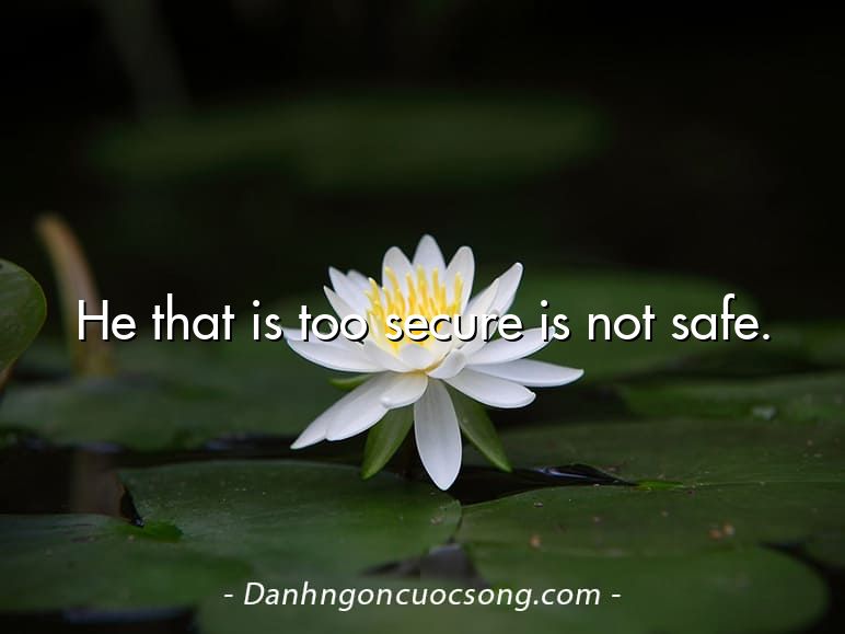 He that is too secure is not safe.