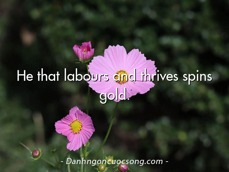 He that labours and thrives spins gold.