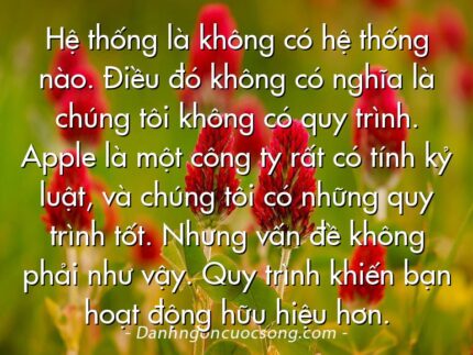 Hệ thống là không có hệ thống nào. Điều đó không có nghĩa là chúng tôi không có quy trình. Apple là một công ty rất có tính kỷ luật, và chúng tôi có những quy trình tốt. Nhưng vấn đề không phải như vậy. Quy trình khiến bạn hoạt động hữu hiệu hơn.