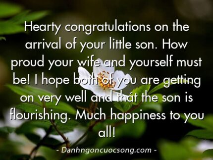 Hearty congratulations on the arrival of your little son. How proud your wife and yourself must be! I hope both of you are getting on very well and thát the son is flourishing. Much happiness to you all!