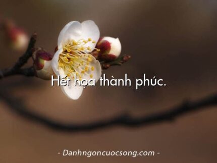 Hết họa thành phúc.