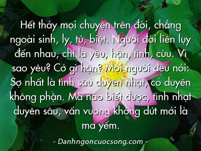 Hết thảy mọi chuyện trên đời, chẳng ngoài sinh, ly, tử, biệt. Người đời liên lụy đến nhau, chỉ là yêu, hận, tình, cừu. Vì sao yêu? Cớ gì hận? Mọi người đều nói: Sợ nhất là tình sâu duyên nhạt, có duyên không phận. Mà nào biết được, tình nhạt duyên sâu, vấn vương không dứt mới là ma yểm.