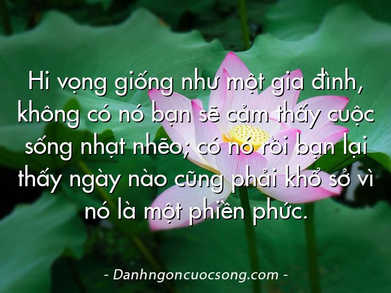 Hi vọng giống như một gia đình, không có nó bạn sẽ cảm thấy cuộc sống nhạt nhẽo; có nó rồi bạn lại thấy ngày nào cũng phải khổ sở vì nó là một phiền phức.