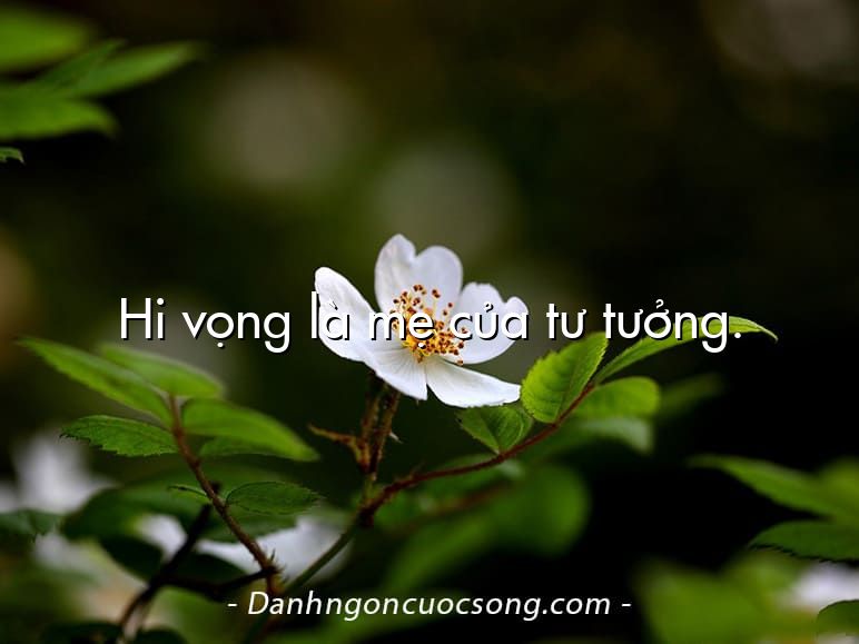 Hi vọng là mẹ của tư tưởng.