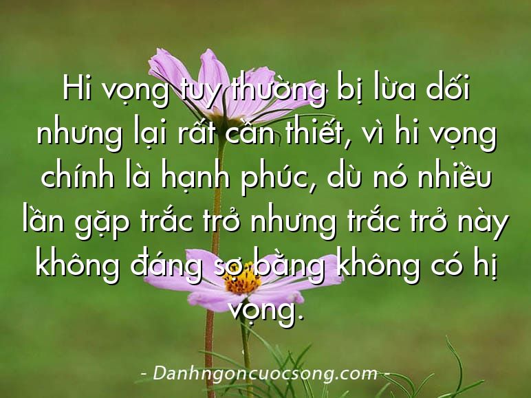 Hi vọng tuy thường bị lừa dối nhưng lại rất cần thiết, vì hi vọng chính là hạnh phúc, dù nó nhiều lần gặp trắc trở nhưng trắc trở này không đáng sợ bằng không có hị vọng.