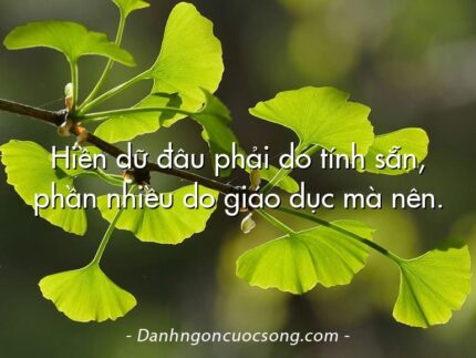 Hiền dữ đâu phải do tính sẵn, phần nhiều do giáo dục mà nên.