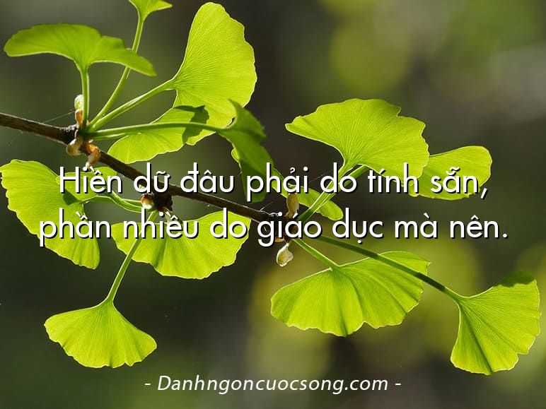Hiền dữ đâu phải do tính sẵn, phần nhiều do giáo dục mà nên.