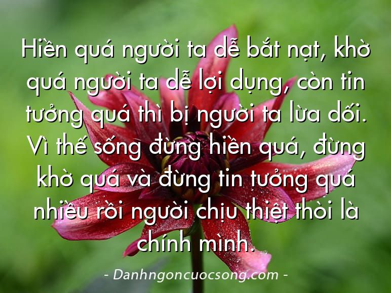 Hiền quá người ta dễ bắt nạt, khờ quá người ta dễ lợi dụng, còn tin tưởng quá thì bị người ta lừa dối. Vì thế sống đừng hiền quá, đừng khờ quá và đừng tin tưởng quá nhiều rồi người chịu thiệt thòi là chính mình.