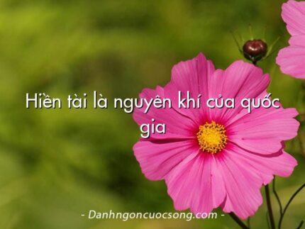 Hiền tài là nguyên khí của quốc gia