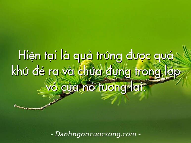 Hiện tại là quả trứng được quá khứ đẻ ra và chứa đựng trong lớp vỏ của nó tương lai.