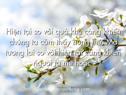 Hiện tại so với quá khứ càng khiến chúng ta cảm thấy hứng thú. Mà tương lai so với hiện tại càng khiến người ta mê hoặc.