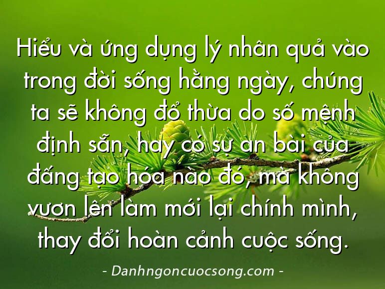Hiểu và ứng dụng lý nhân quả vào trong đời sống hằng ngày, chúng ta sẽ không đổ thừa do số mệnh định sẵn, hay có sự an bài của đấng tạo hóa nào đó, mà không vươn lên làm mới lại chính mình, thay đổi hoàn cảnh cuộc sống.