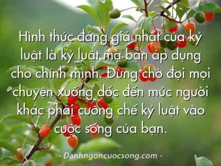 Hình thức đáng giá nhất của kỷ luật là kỷ luật mà bạn áp dụng cho chính mình. Đừng chờ đợi mọi chuyện xuống dốc đến mức người khác phải cưỡng chế kỷ luật vào cuộc sống của bạn.