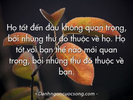 Họ tốt đến đâu không quan trọng, bởi những thứ đó thuộc về họ. Họ tốt với bạn thế nào mới quan trọng, bởi những thứ đó thuộc về bạn.