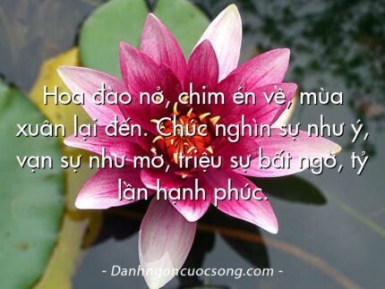 Hoa đào nở, chim én về, mùa xuân lại đến. Chúc nghìn sự như ý, vạn sự như mơ, triệu sự bất ngờ, tỷ lần hạnh phúc.