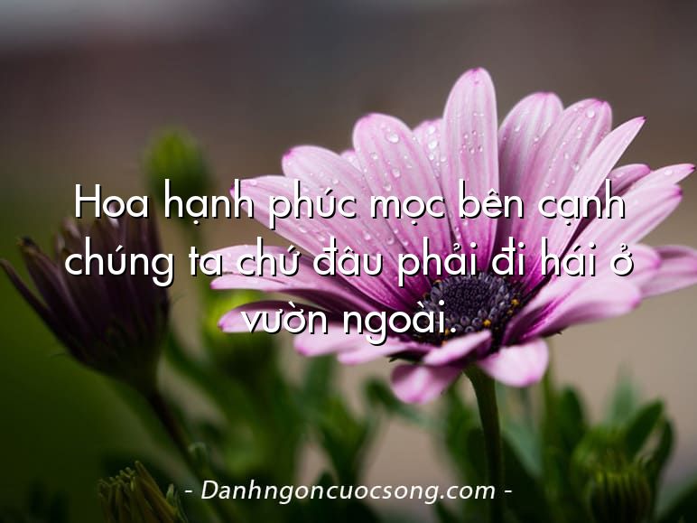 Hoa hạnh phúc mọc bên cạnh chúng ta chứ đâu phải đi hái ở vườn ngoài.