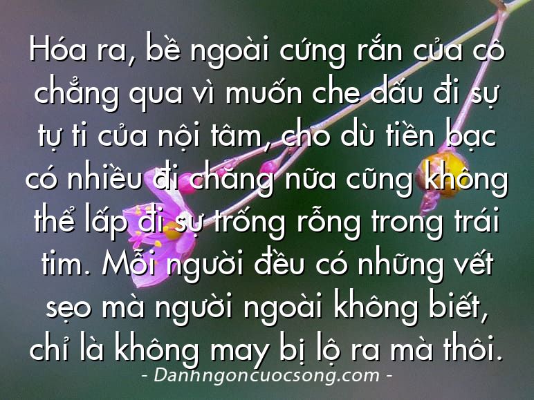 Hóa ra, bề ngoài cứng rắn của cô chẳng qua vì muốn che dấu đi sự tự ti của nội tâm, cho dù tiền bạc có nhiều đi chăng nữa cũng không thể lấp đi sự trống rỗng trong trái tim. Mỗi người đều có những vết sẹo mà người ngoài không biết, chỉ là không may bị lộ ra mà thôi.