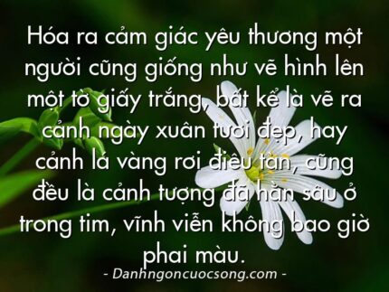 Hóa ra cảm giác yêu thương một người cũng giống như vẽ hình lên một tờ giấy trắng, bất kể là vẽ ra cảnh ngày xuân tươi đẹp, hay cảnh lá vàng rơi điêu tàn, cũng đều là cảnh tượng đã hằn sâu ở trong tim, vĩnh viễn không bao giờ phai màu.
