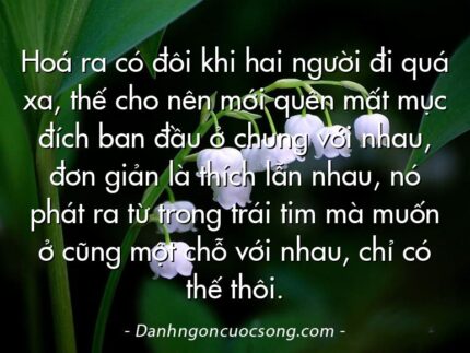 Hoá ra có đôi khi hai người đi quá xa, thế cho nên mới quên mất mục đích ban đầu ở chung với nhau, đơn giản là thích lẫn nhau, nó phát ra từ trong trái tim mà muốn ở cũng một chỗ với nhau, chỉ có thế thôi.