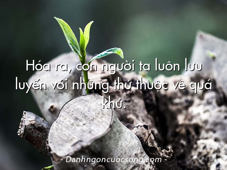 Hóa ra, con người ta luôn lưu luyến với những thứ thuộc về quá khứ.