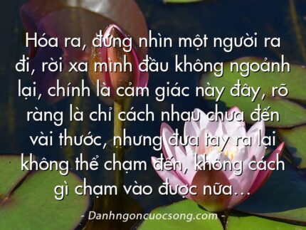 Hóa ra, đứng nhìn một người ra đi, rời xa mình đầu không ngoảnh lại, chính là cảm giác này đây, rõ ràng là chỉ cách nhau chưa đến vài thước, nhưng đưa tay ra lại không thể chạm đến, không cách gì chạm vào được nữa…