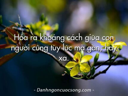 Hóa ra khoảng cách giữa con người cũng tùy lúc mà gần, hay xa.