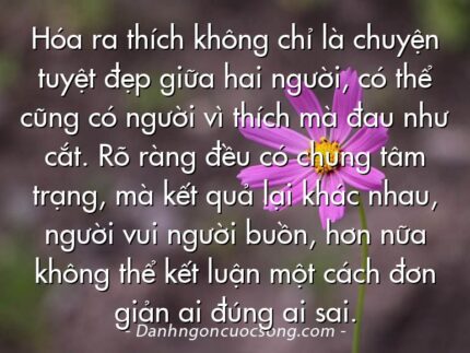 Hóa ra thích không chỉ là chuyện tuyệt đẹp giữa hai người, có thể cũng có người vì thích mà đau như cắt. Rõ ràng đều có chung tâm trạng, mà kết quả lại khác nhau, người vui người buồn, hơn nữa không thể kết luận một cách đơn giản ai đúng ai sai.