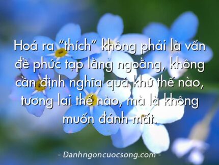 Hoá ra “thích” không phải là vấn đề phức tạp lằng ngoằng, không cần định nghĩa quá khứ thế nào, tương lai thế nào, mà là không muốn đánh mất.