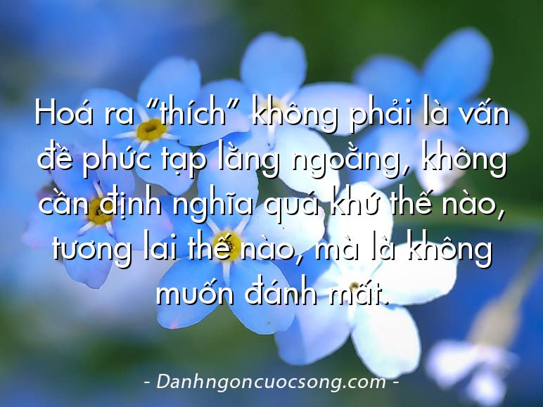 Hoá ra “thích” không phải là vấn đề phức tạp lằng ngoằng, không cần định nghĩa quá khứ thế nào, tương lai thế nào, mà là không muốn đánh mất.
