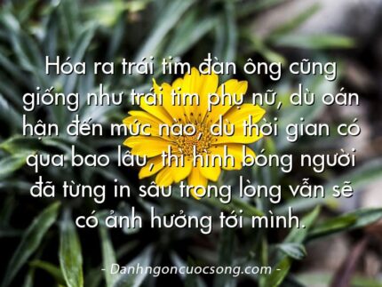 Hóa ra trái tim đàn ông cũng giống như trái tim phụ nữ, dù oán hận đến mức nào, dù thời gian có qua bao lâu, thì hình bóng người đã từng in sâu trong lòng vẫn sẽ có ảnh hưởng tới mình.
